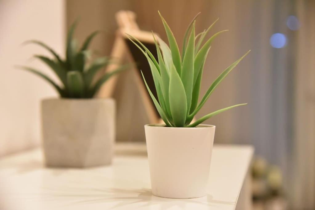 Tiny Treasure Apartment 雅典 外观 照片